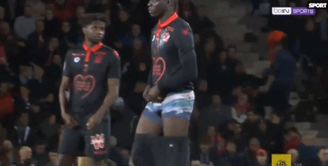 德泽尔比：目前没人比加图索更适合执教意大利队